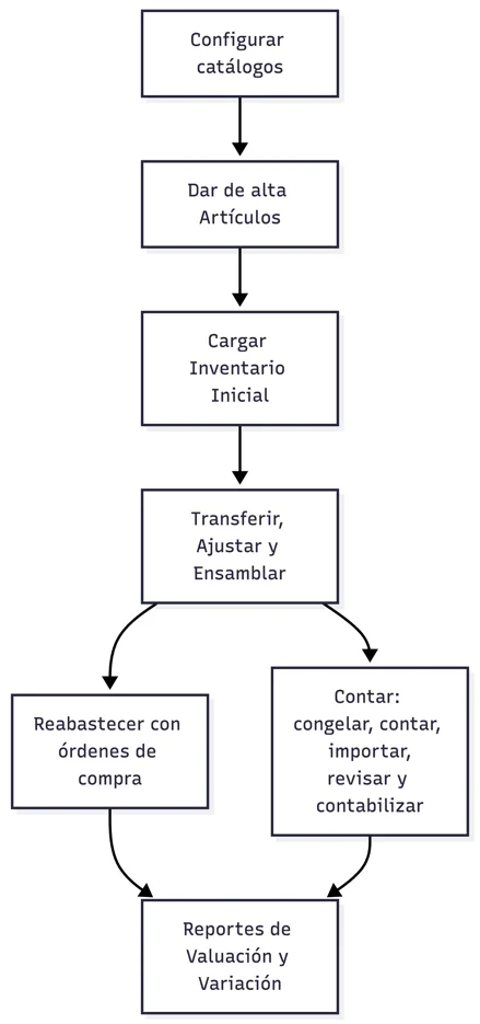 Flujo general