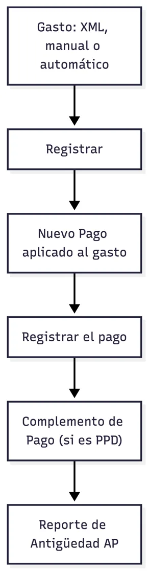 Flujo general